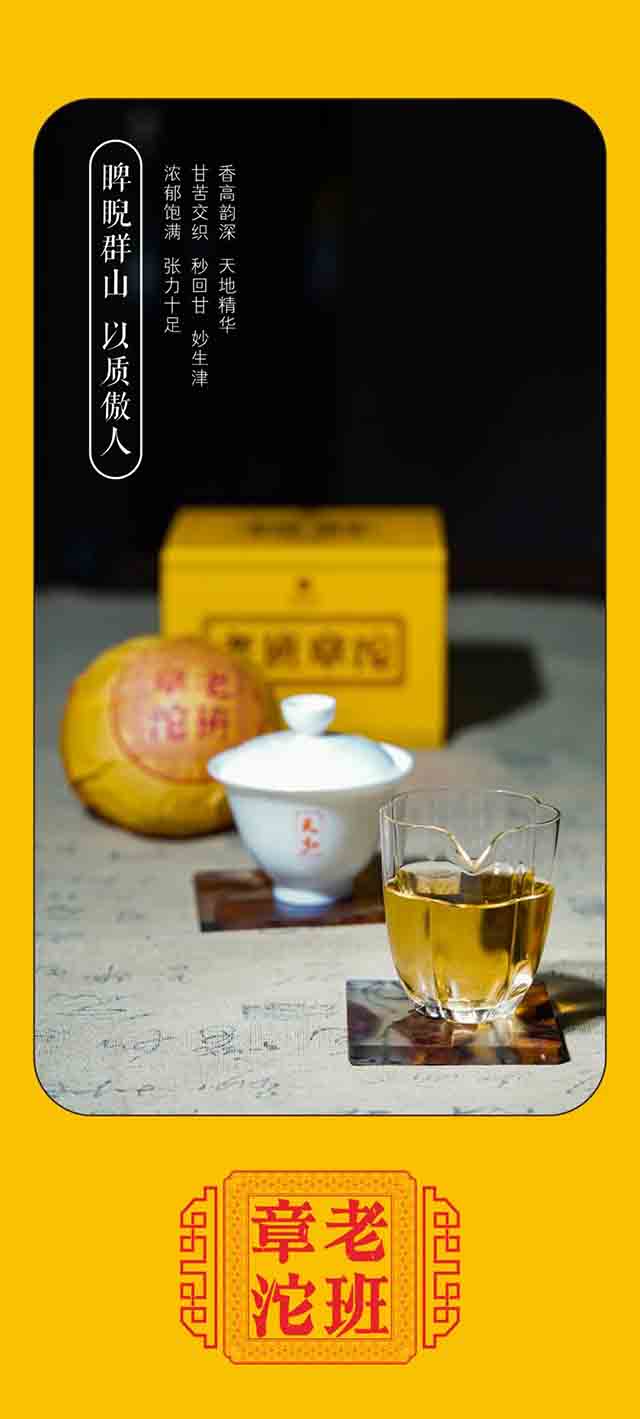天弘茶业2023年老班章沱普洱茶品质特点
