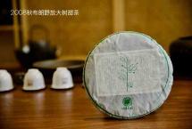 山头年份茶｜2008秋·布朗野放大树甜茶，全国茶友共品