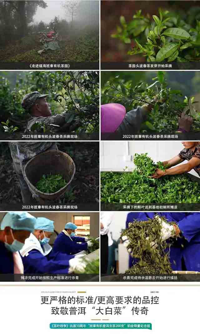 周重林茶叶战争出版十周年纪念茶