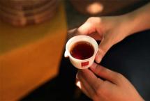 熟茶技术50年，以时空茶会传递品饮价值