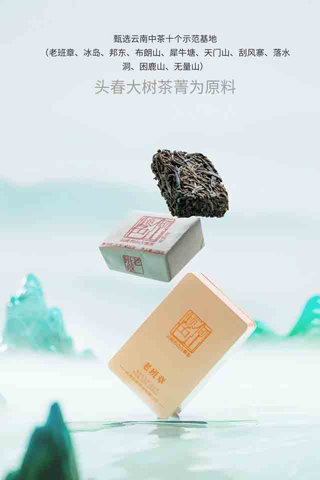 中茶倾山倾色云南名山古寨茶品质特点