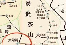 开汤：2023年易武大漆树古树头春纯料