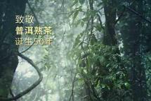 合和昌：名山臻造，麟翔凤集