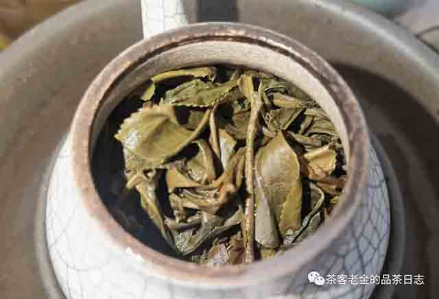 翡翠与茶2019年冰岛老寨单株普洱茶