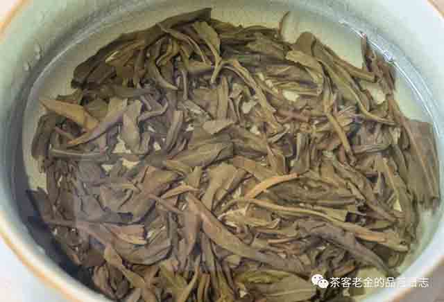 翡翠与茶2019年冰岛老寨单株普洱茶