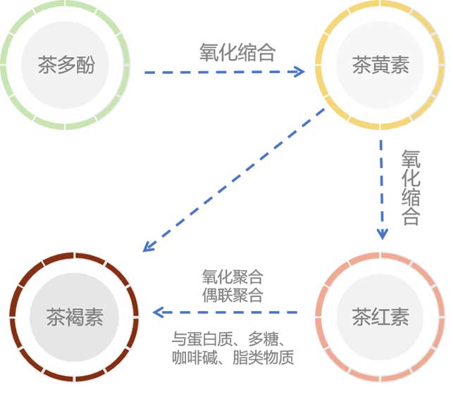 大益熟茶汤色