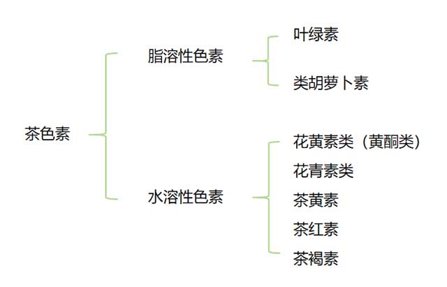 大益熟茶汤色