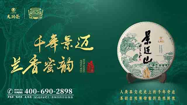 龙润茶2023景迈山普洱茶品质特点