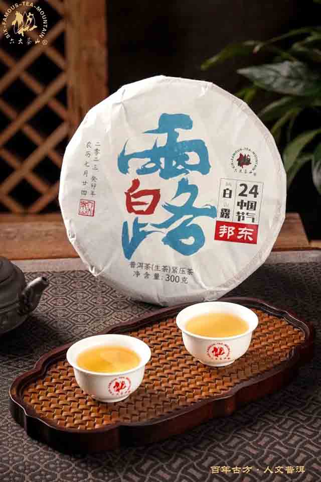 六大茶山白露普洱茶品质特点