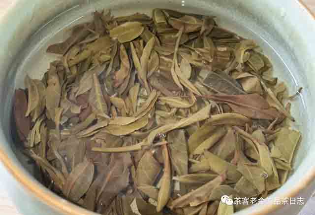 栩月古茶2023年那卡古树普洱茶