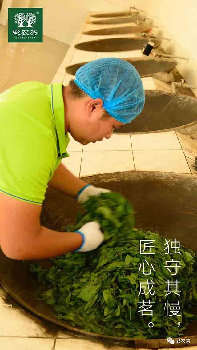 彩农茶2023秋勐海小饼普洱茶品质特点