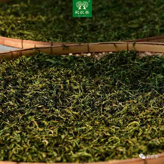 彩农茶2023秋勐海小饼普洱茶品质特点