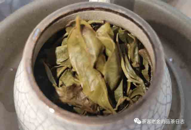 公主茶铺2023年空谷龙珠普洱茶品质特点
