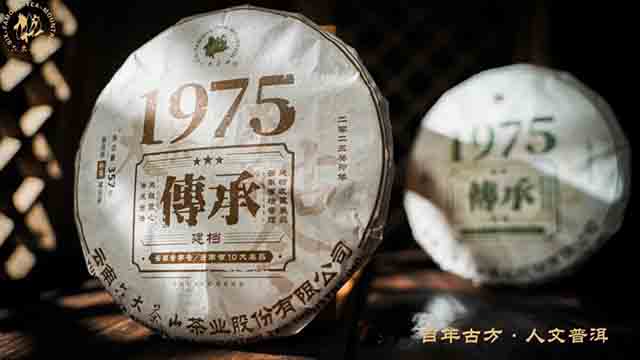 六大茶山传承1975普洱茶生熟茶