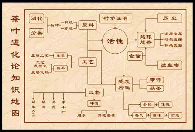 茶叶进化论