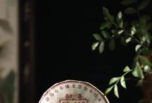 乔木老树，时光陈韵|勐海七年陈熟茶温暖上新！
