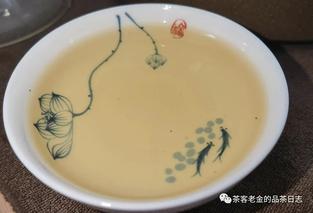 吾茶共饮十二归一普洱茶