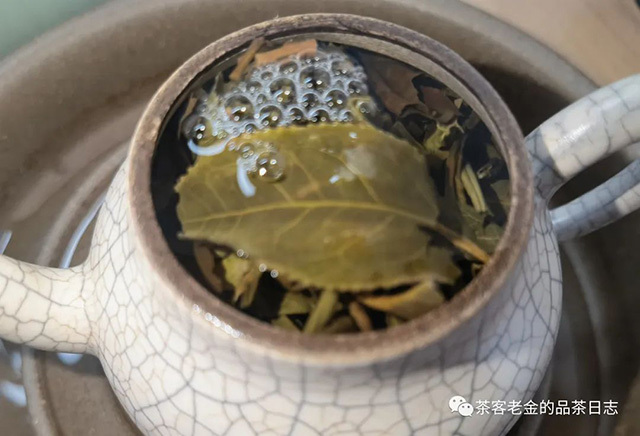 吾茶共饮十二归一普洱茶