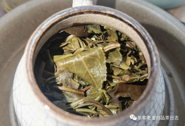 吾茶共饮十二归一普洱茶