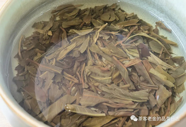 吾茶共饮十二归一普洱茶