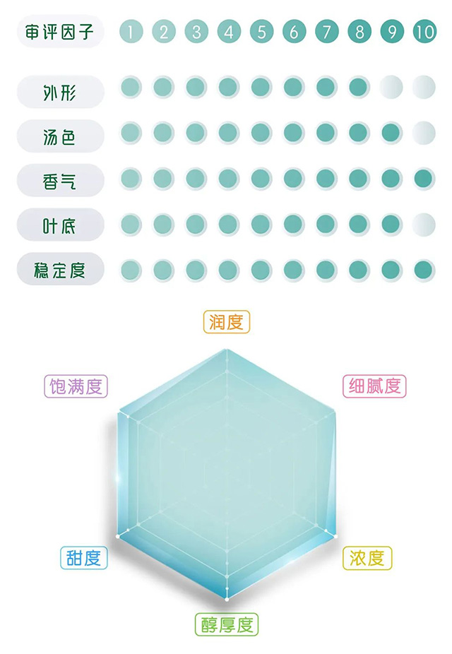 一球茶业2023易武白茶品质特点