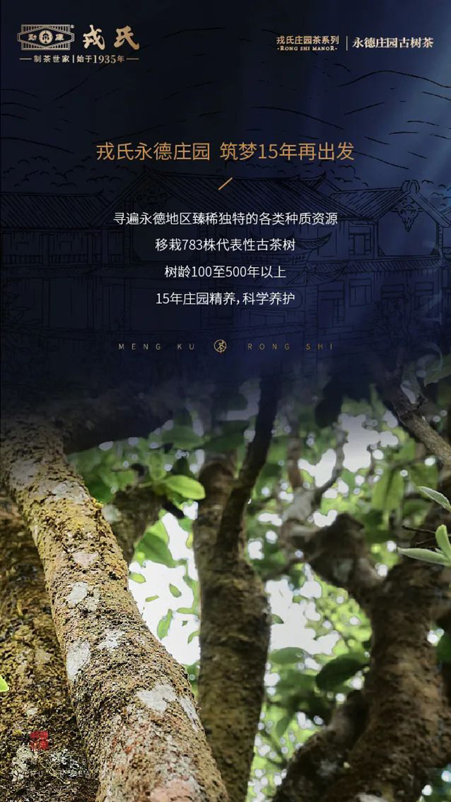 戎氏庄园永德庄园古树茶品质特点