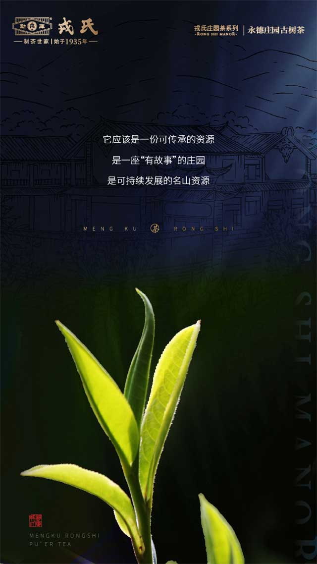 戎氏庄园永德庄园古树茶品质特点