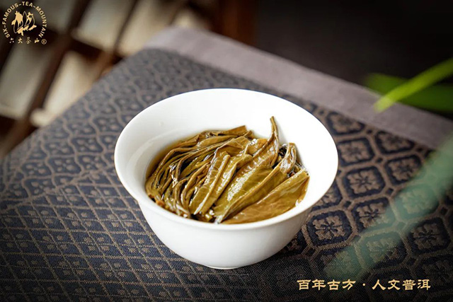 六大茶山俊昌号普洱茶品质特点