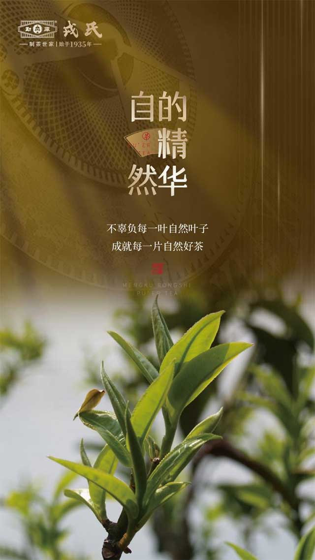 勐库戎氏年份茶系列戎氏年份茶三年陈普洱茶熟茶