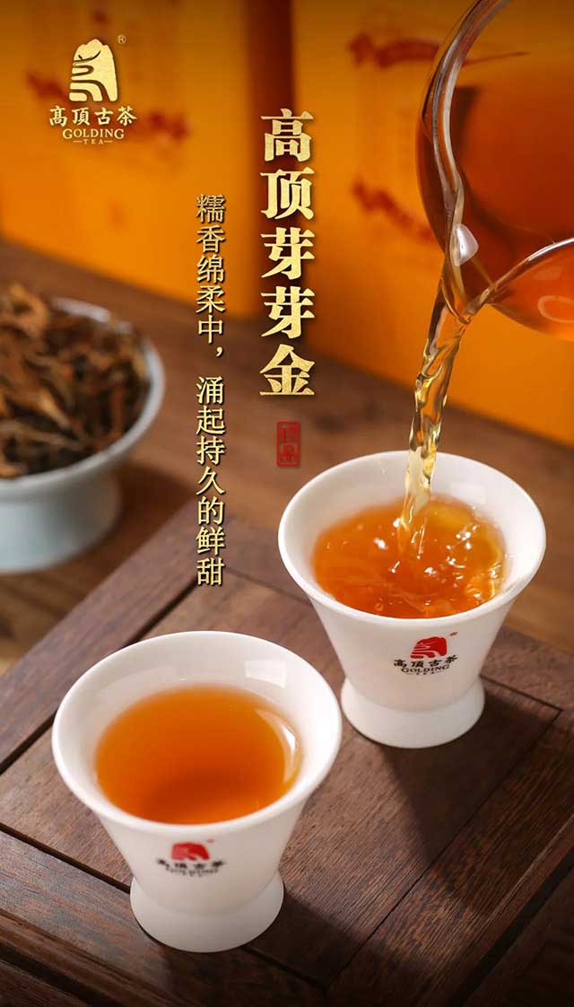高顶古茶高顶芽芽金古树红茶品质特点