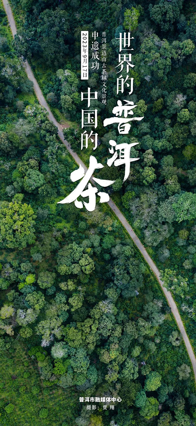 普洱景迈山古茶林文化景观