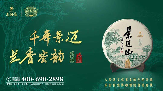 龙润茶2023景迈山熟茶生茶品质特点