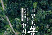 为什么是景迈山？——普洱景迈山古茶林文化景观申遗之路