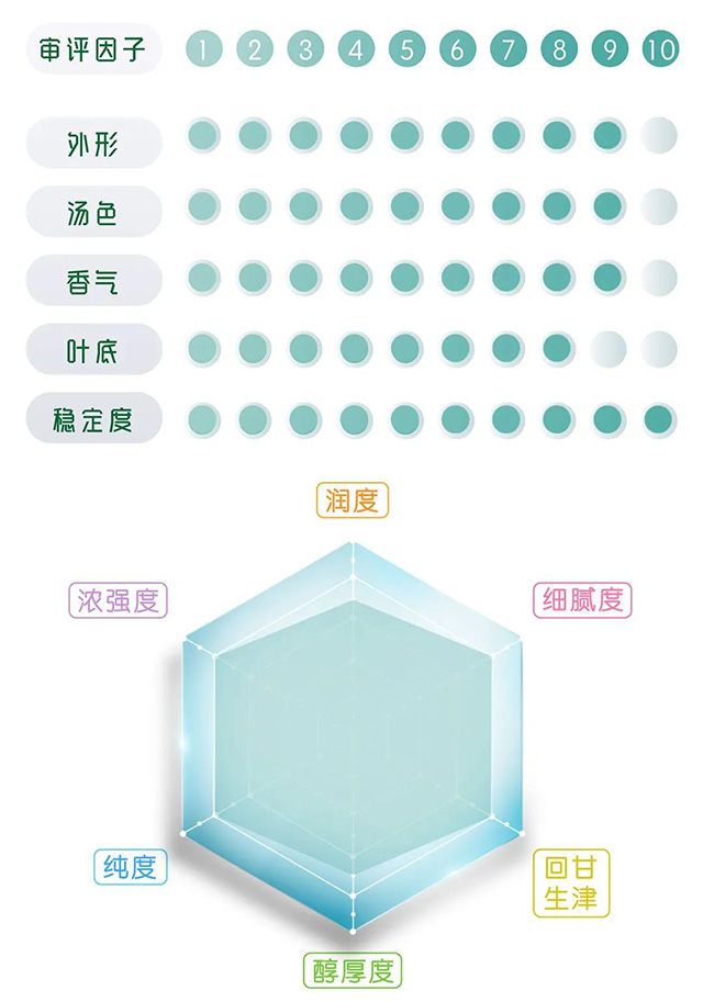 一球茶业2023易武印象普洱茶品质特点