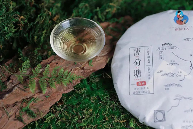 薄荷塘古树春茶茶汤