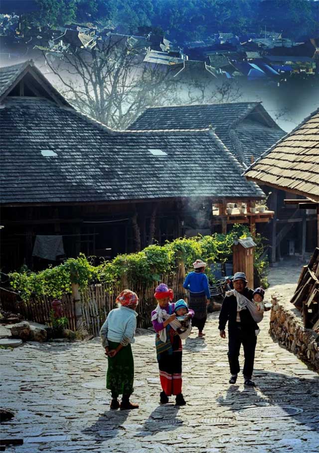 正皓茶景迈山申报世界文化遗产成功纪念版茶