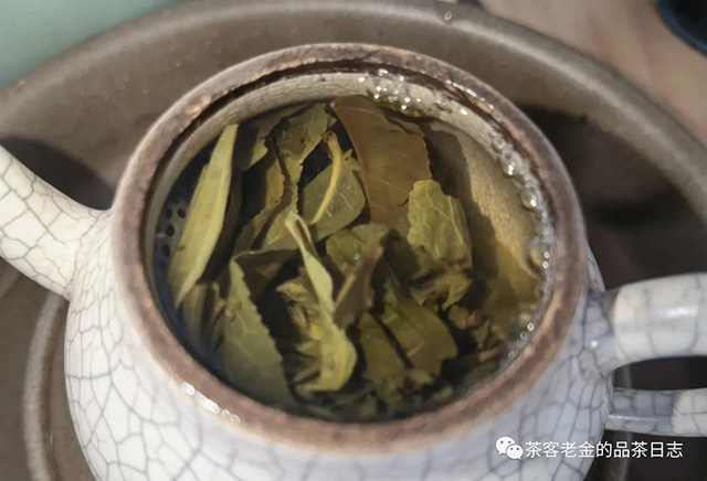 苦行茶僧2023年笑我疯颠普洱茶