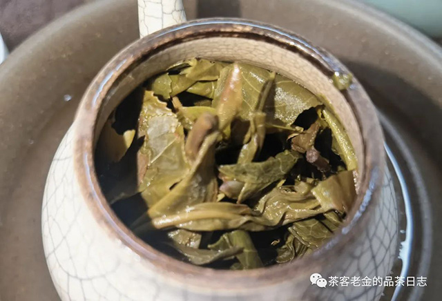 苦行茶僧2023年笑我疯颠普洱茶