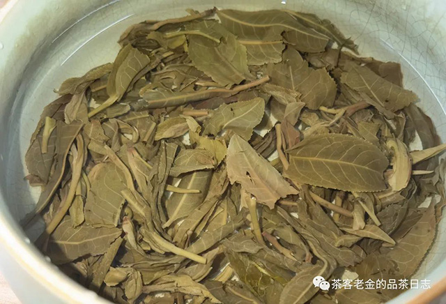 苦行茶僧2023年笑我疯颠普洱茶