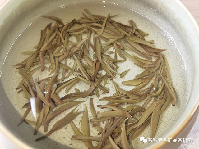 雨婷家茶铺2023年白小仙景谷大白毫