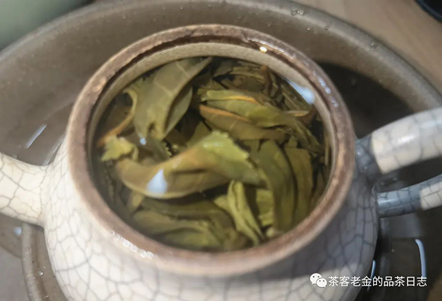 曼林老张2023年曼林秋茶普洱茶