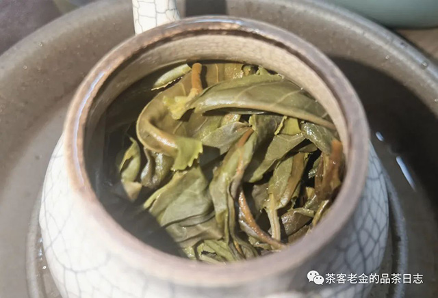 曼林老张2023年曼林秋茶普洱茶