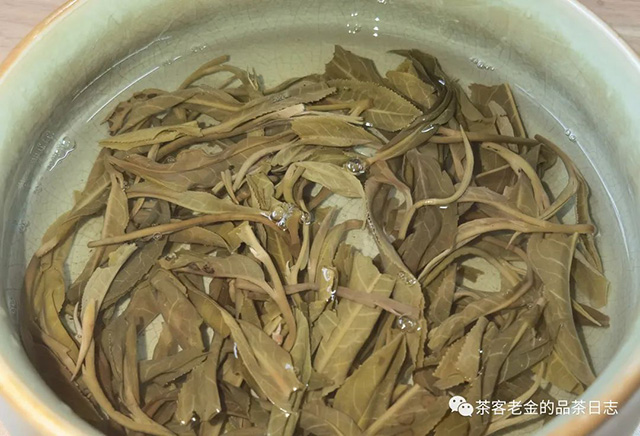 曼林老张2023年曼林秋茶普洱茶