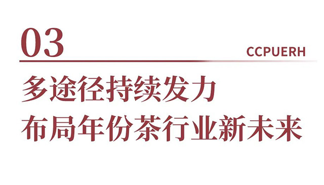 双陈武汉茶博会收官