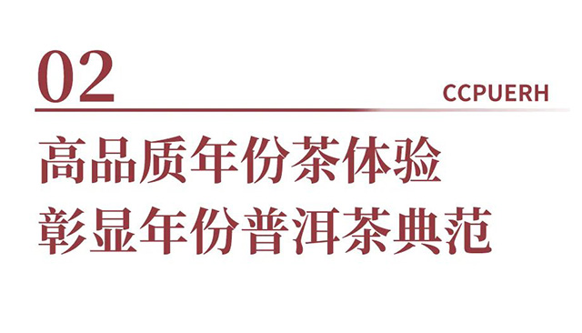 双陈武汉茶博会收官