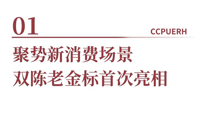 双陈武汉茶博会收官