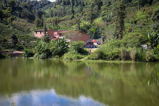 茶农新居环境依山傍水