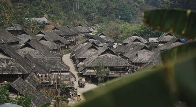 普洱景迈山古茶林文化景观