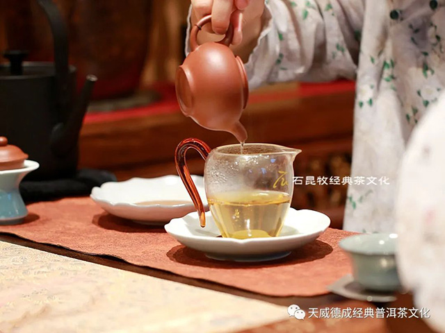 天威德成2023年新品熟茶尝新茶会