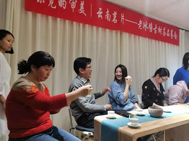 云南茗片老冰塘古树茶品鉴会